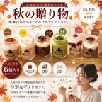 [Mサイズ]  秋の贈り物 ティラミス6個ギフトセット / ママスター 抹茶 いちご チョコ レモン