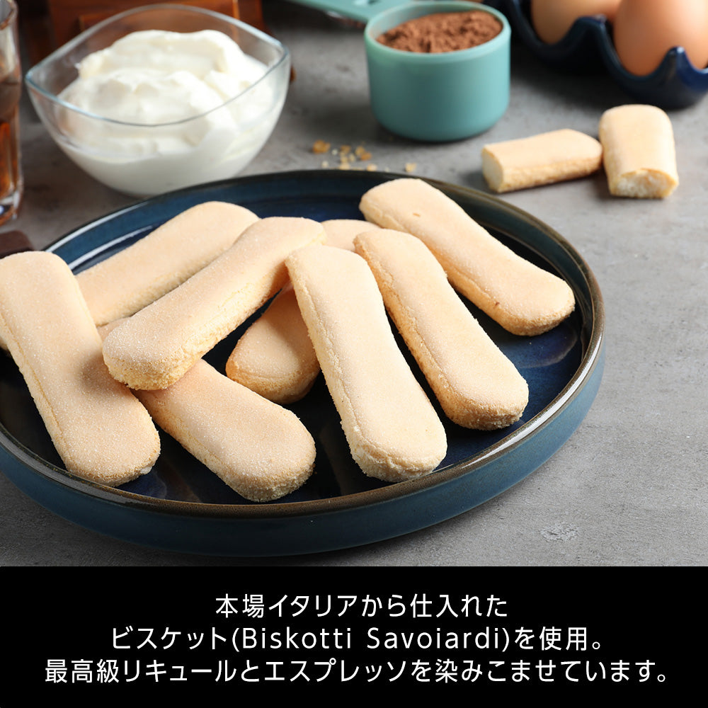 11/30まで早割300円OFF！ 2026 ティラミス クリスマスケーキ 予約 5号 15cm 5～6人用